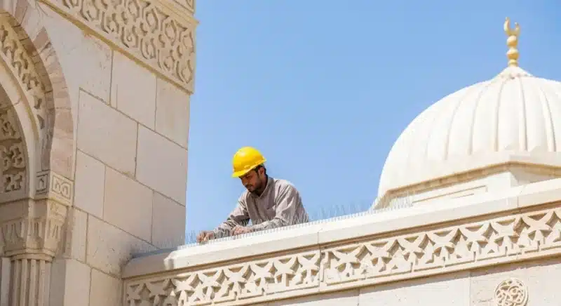 تركيب شبك طارد حمام بالعزيزية 2025